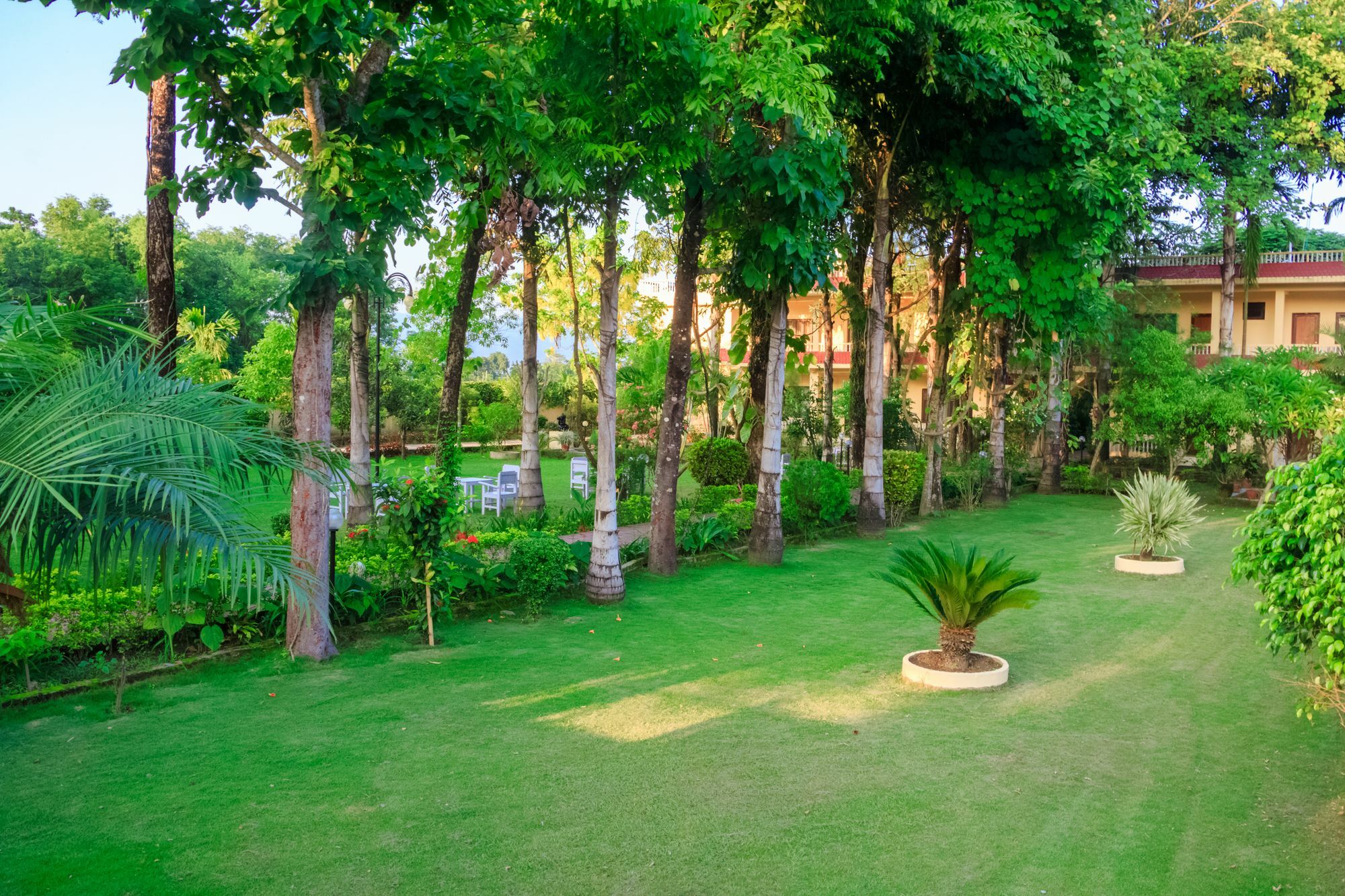 Hotel Rainforest 사우라하 외부 사진